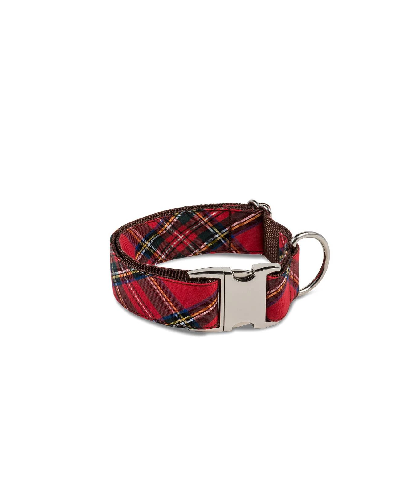 BROTT Collier Pour Chien écossais Tremp 1 BROTT Collier Pour Chien écossais Tremp