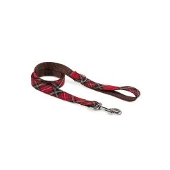 BROTT Laisse Pour Chien Tremp écossais