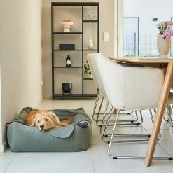 MiaCara Lit Douillet Pour Chien Velluto 9 MiaCara Lit Douillet Pour Chien Velluto -dog food shop velluto bildergalerie