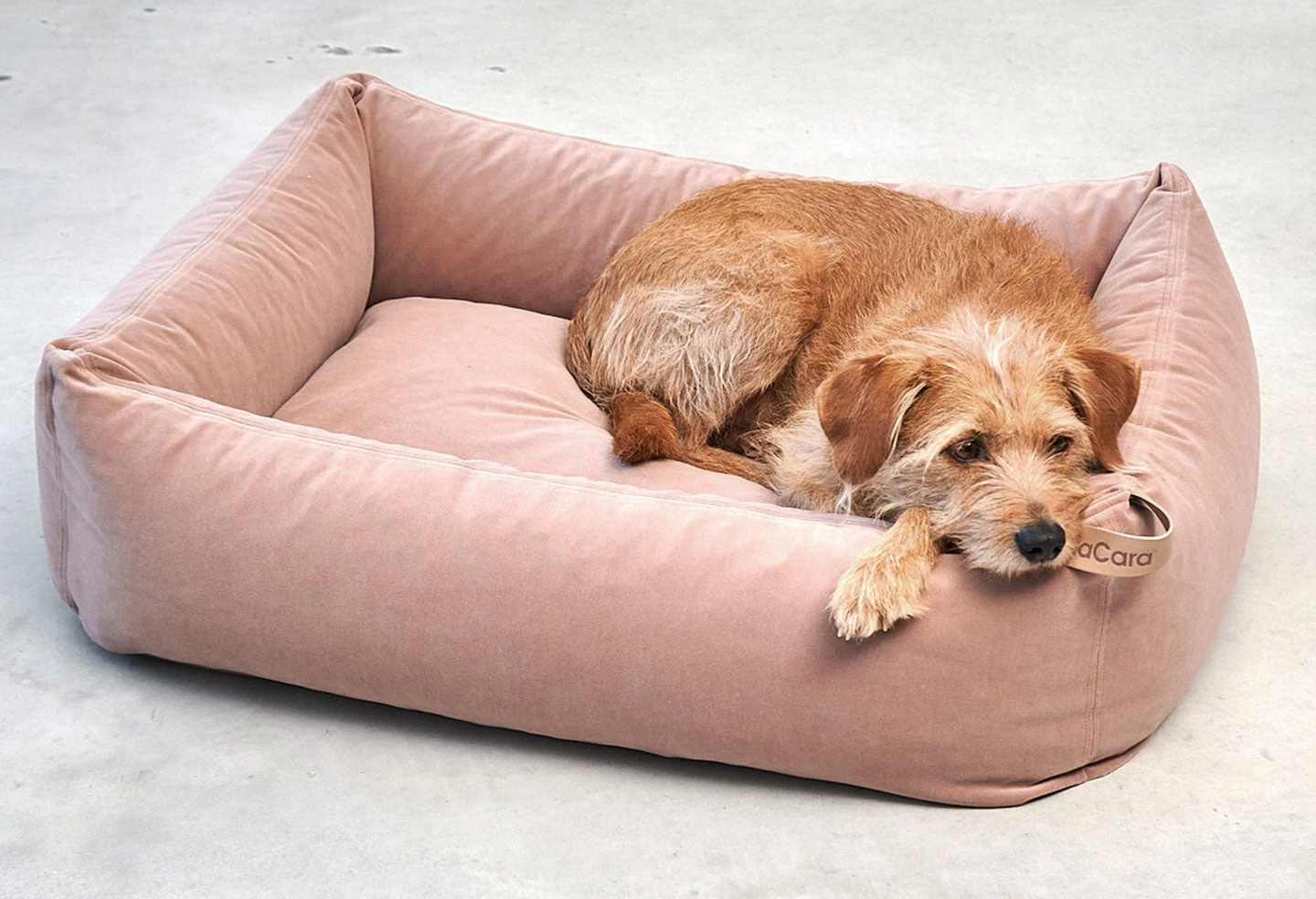 MiaCara Lit Douillet Pour Chien Velluto 5 MiaCara Lit Douillet Pour Chien Velluto – Image 5